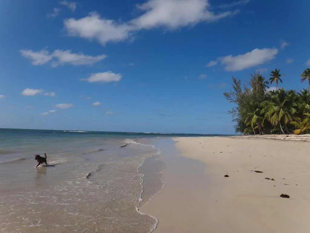 La Cortesana Las Terrenas Hotel Dominican Republic